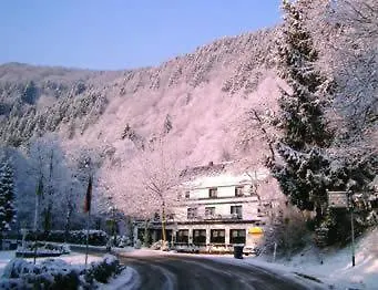 Hotel Wiedfriede Roßbach