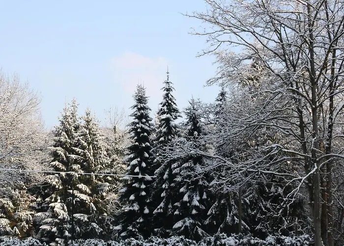 Hotel Wiedfriede Roßbach